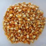 Buy Grains Online Borivali Baniya Makai